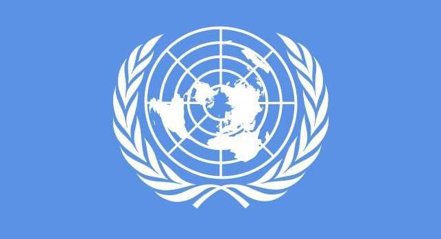 上海迎來中國首個聯合國二類機構，軟件教育創新引發世界關注